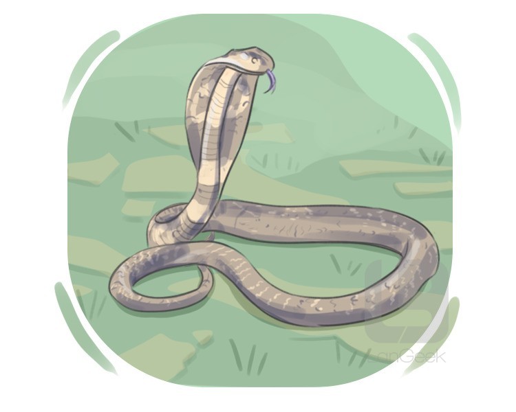 serpent definition and meaning