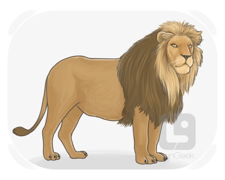 lion definition and meaning