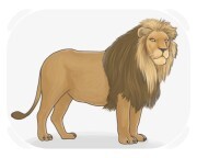 lion