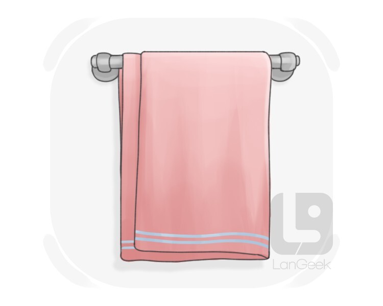 hand towel definition and meaning