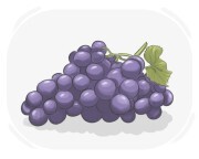 grape