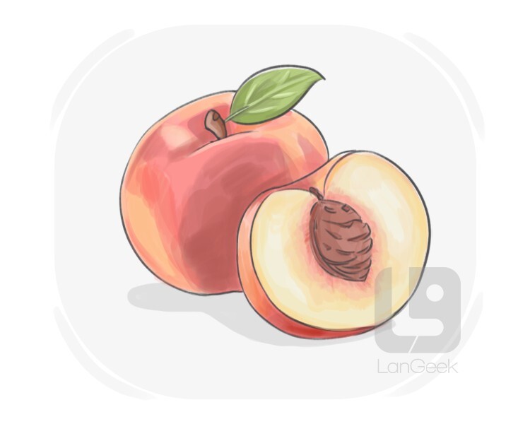 peach definition and meaning