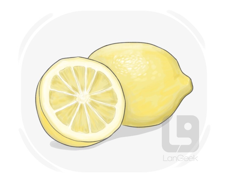 lemon definition and meaning