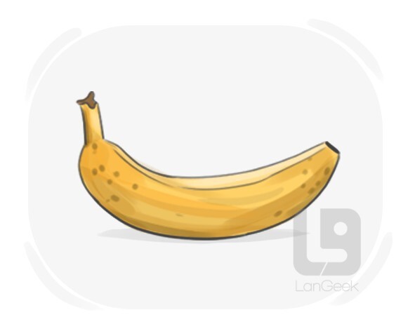 banana definition and meaning