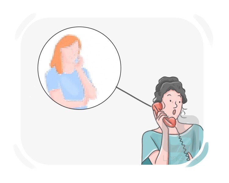 phone call definition and meaning