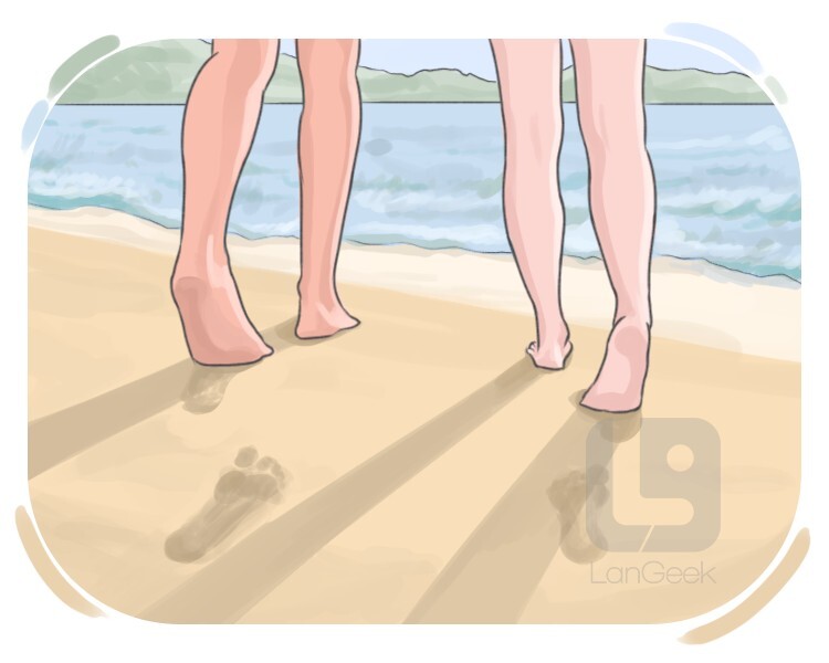 barefooted definition and meaning