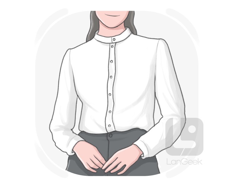 blouse definition and meaning