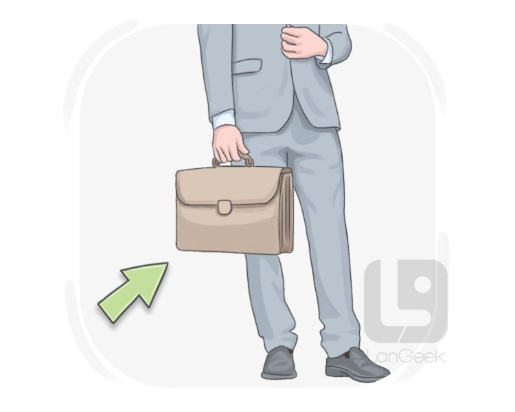 briefcase definition and meaning