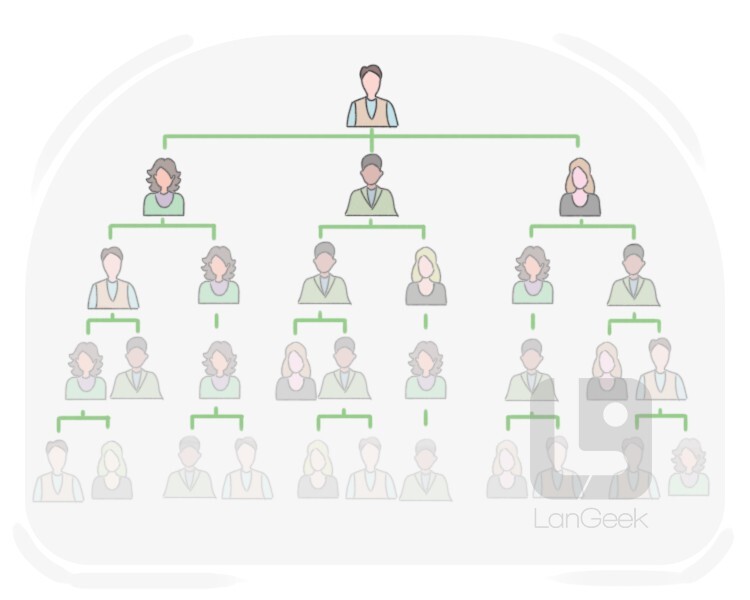 hierarchical definition and meaning