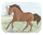 horse