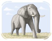 elephant