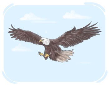 eagle