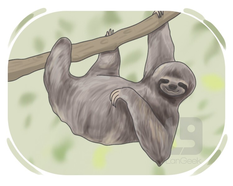 sloth definition and meaning