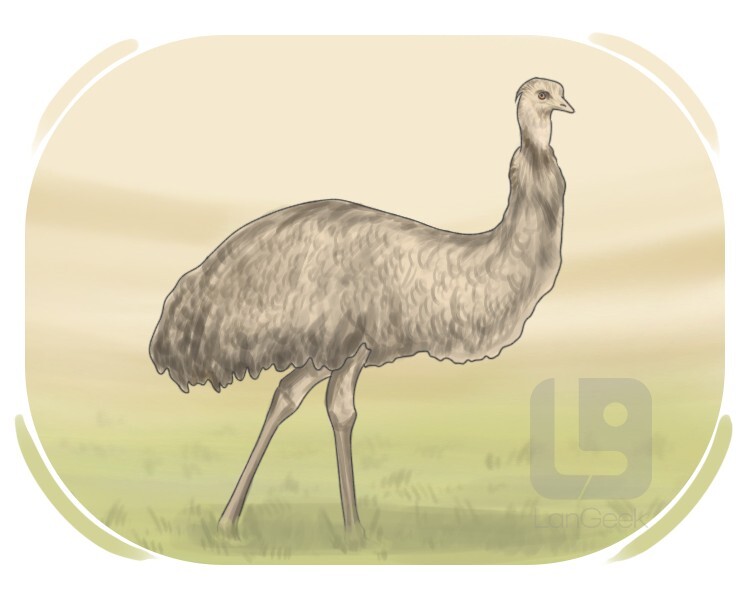 emu definition and meaning