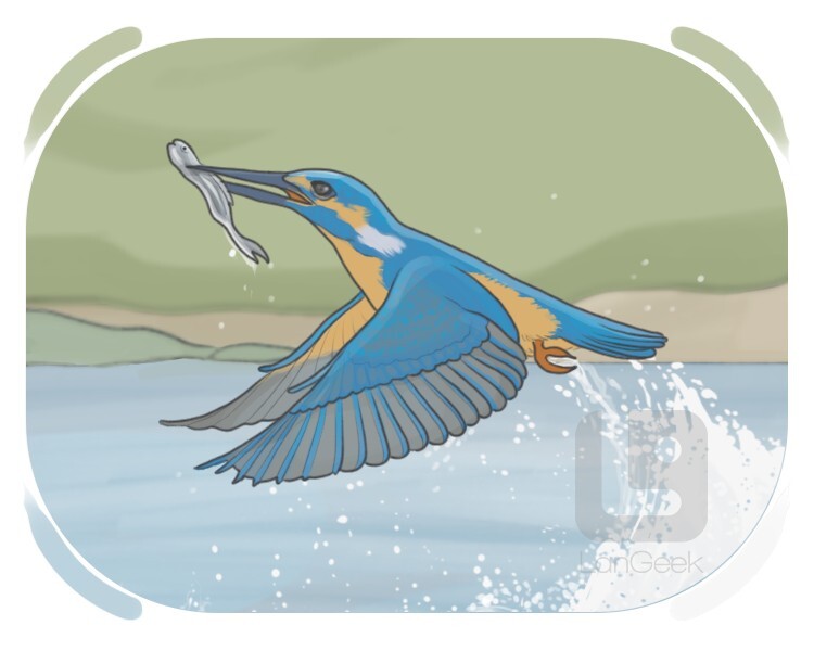 kingfisher definition and meaning