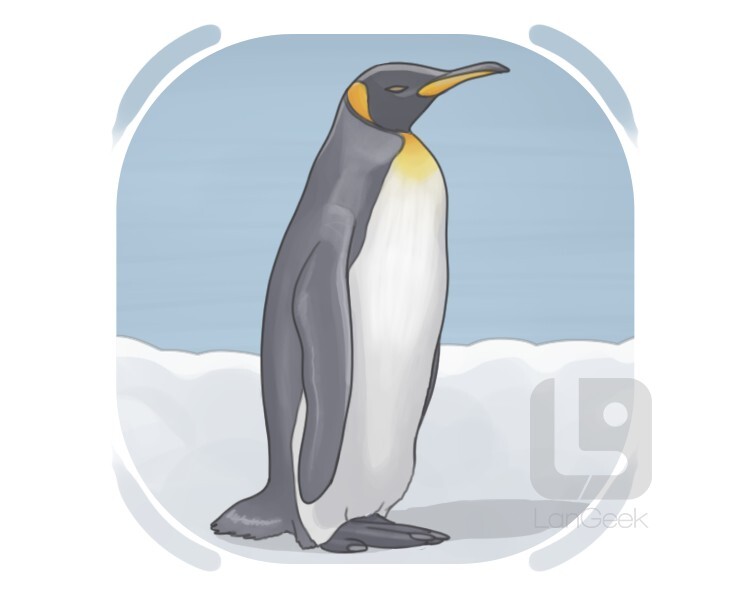 penguin definition and meaning