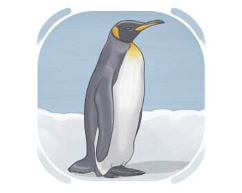 penguin