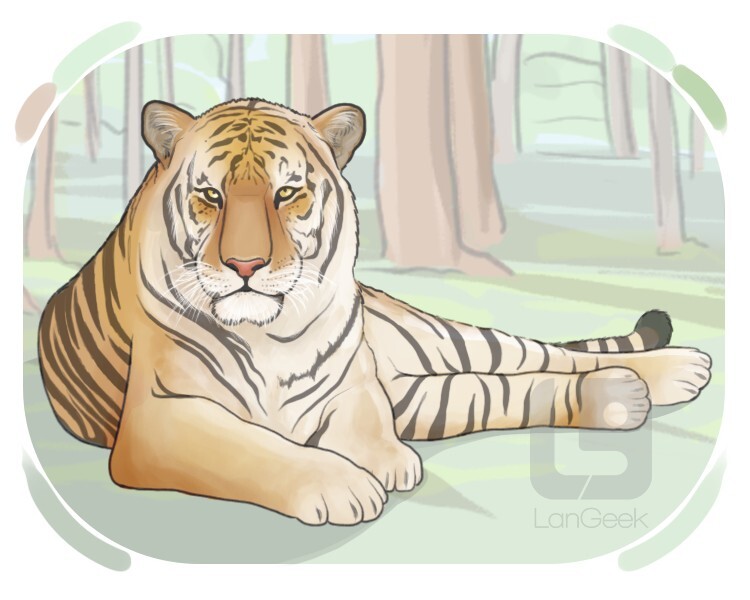 Bengal tiger definition and meaning