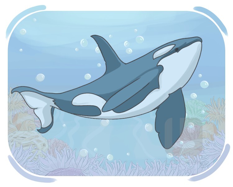 orca definition and meaning