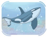 orca