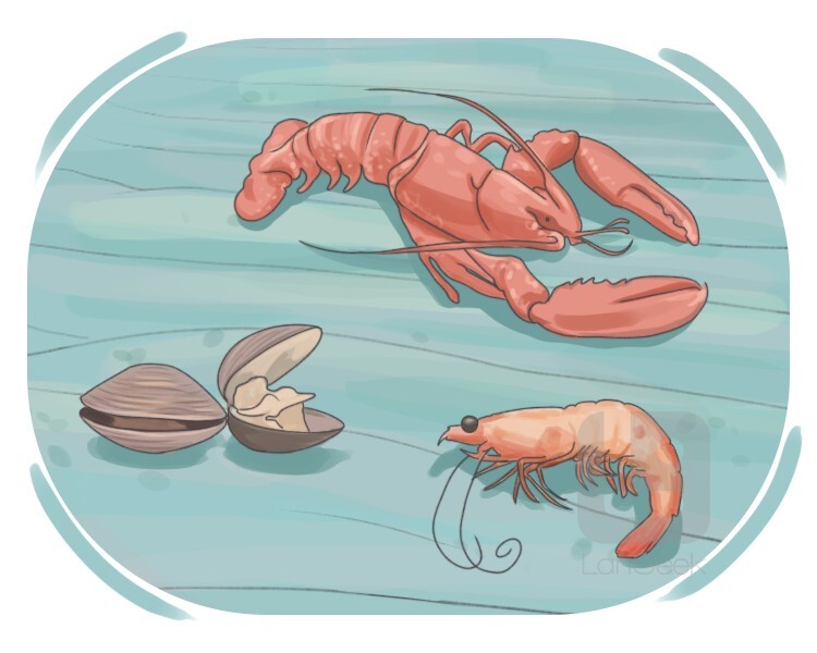 shellfish definition and meaning