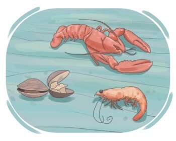 crustacean