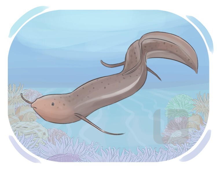 lungfish definition and meaning