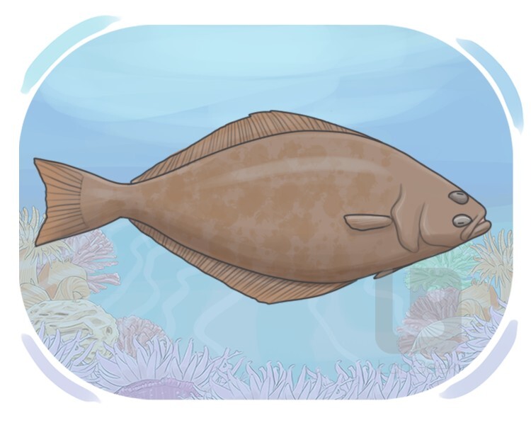 flounder definition and meaning