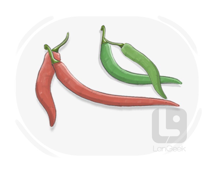 chilli definition and meaning