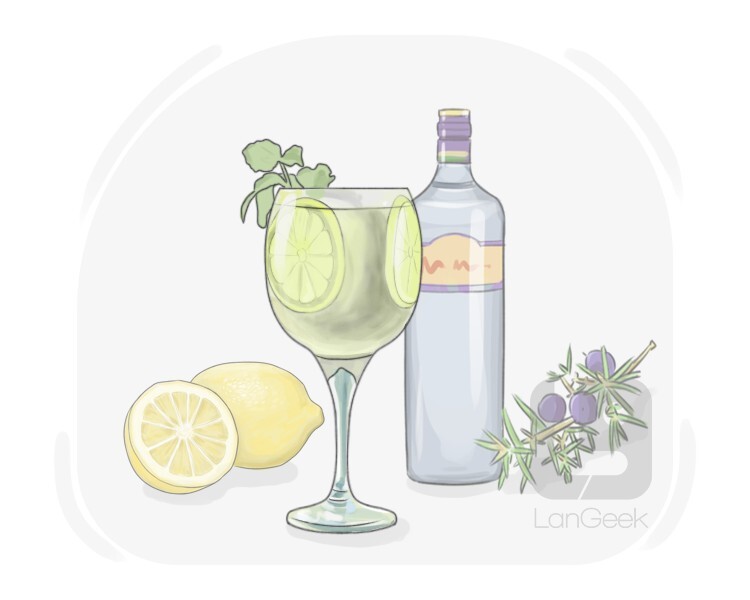 gin and tonic definition and meaning