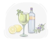 gin and tonic