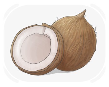 coconut
