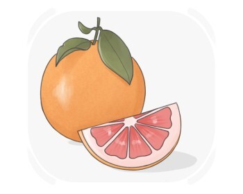 grapefruit