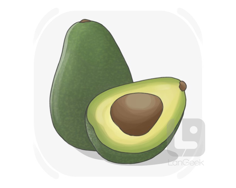 avocado definition and meaning