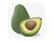 avocado