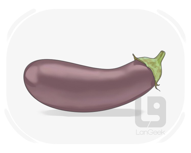 aubergine definition and meaning