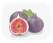 fig