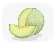 honeydew melon
