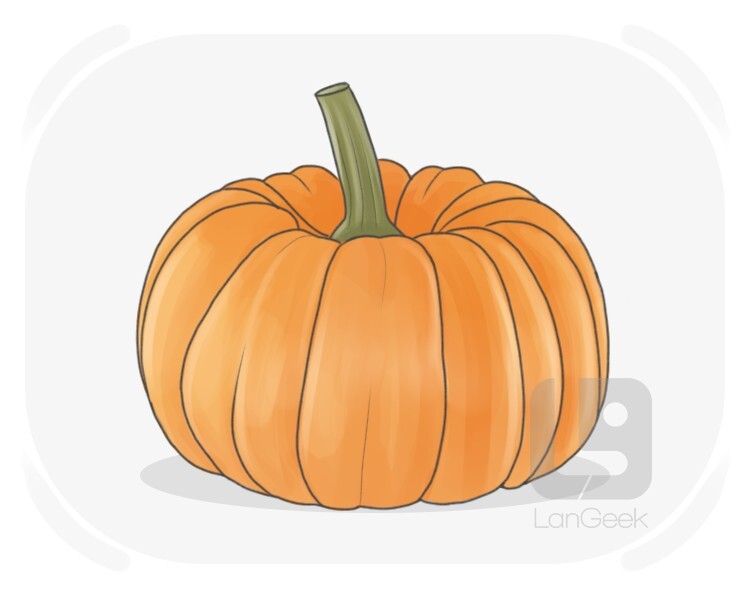 pumpkin definition and meaning