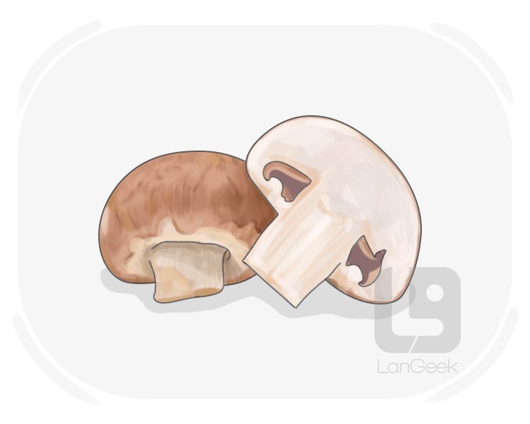 button mushroom definition and meaning
