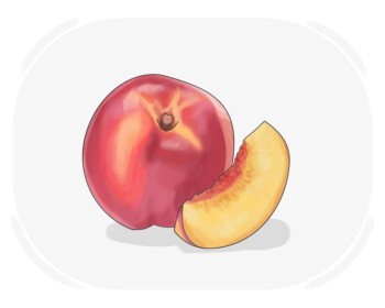 nectarine