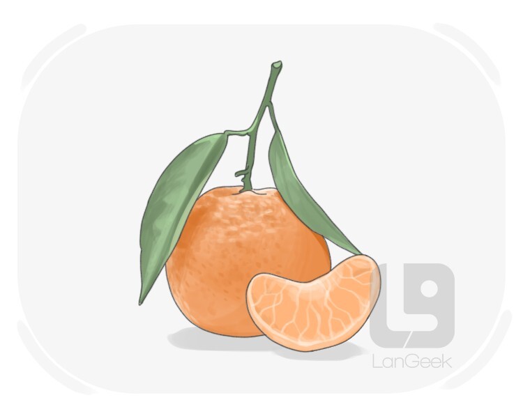 satsuma definition and meaning