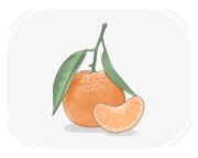 satsuma