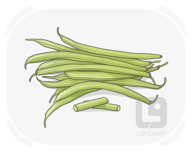 French bean definition and meaning