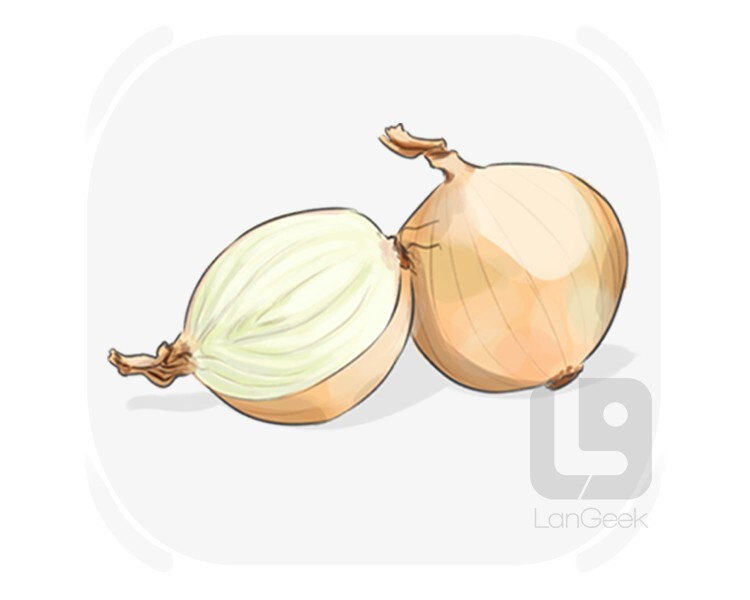 shallot definition and meaning