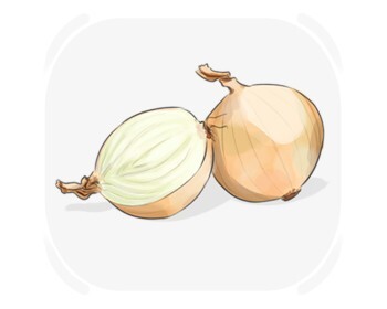 onion