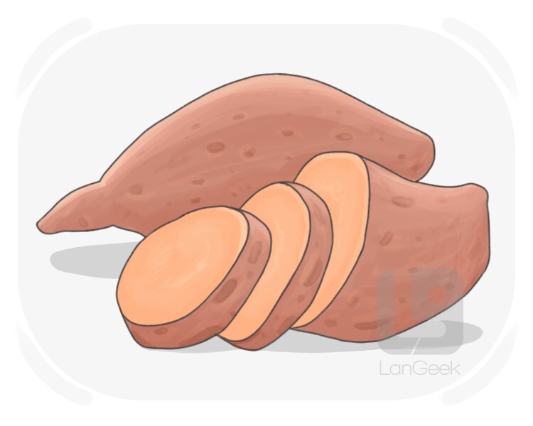 sweet potato definition and meaning