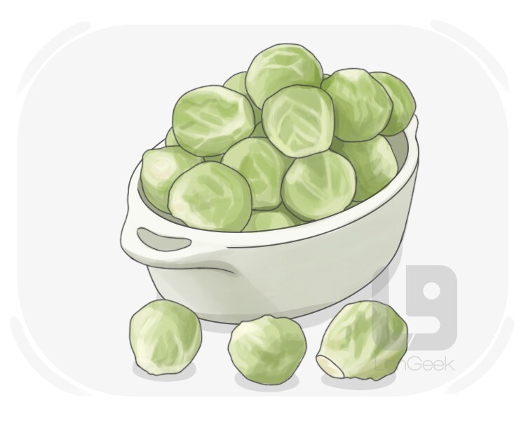 Brussels sprout definition and meaning