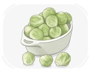 Brussels sprout
