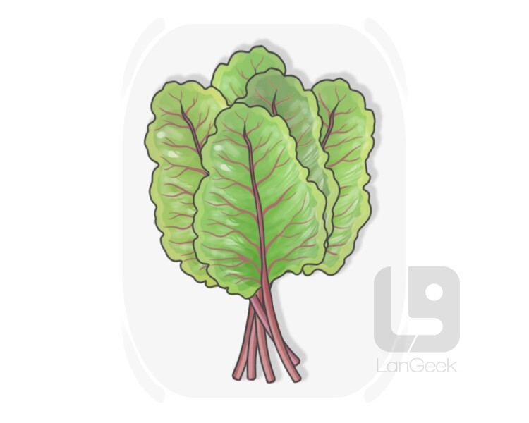 Swiss chard definition and meaning